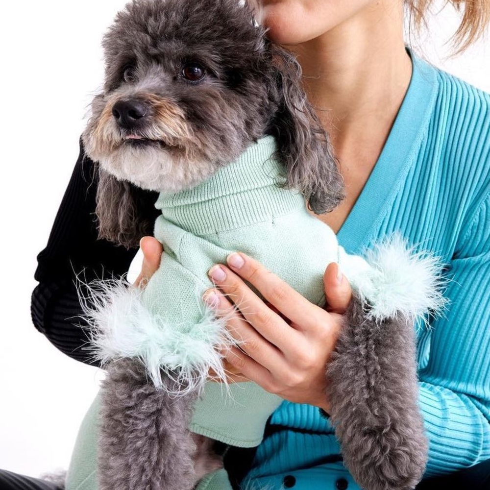 NEW - dog onesie from maxbone!